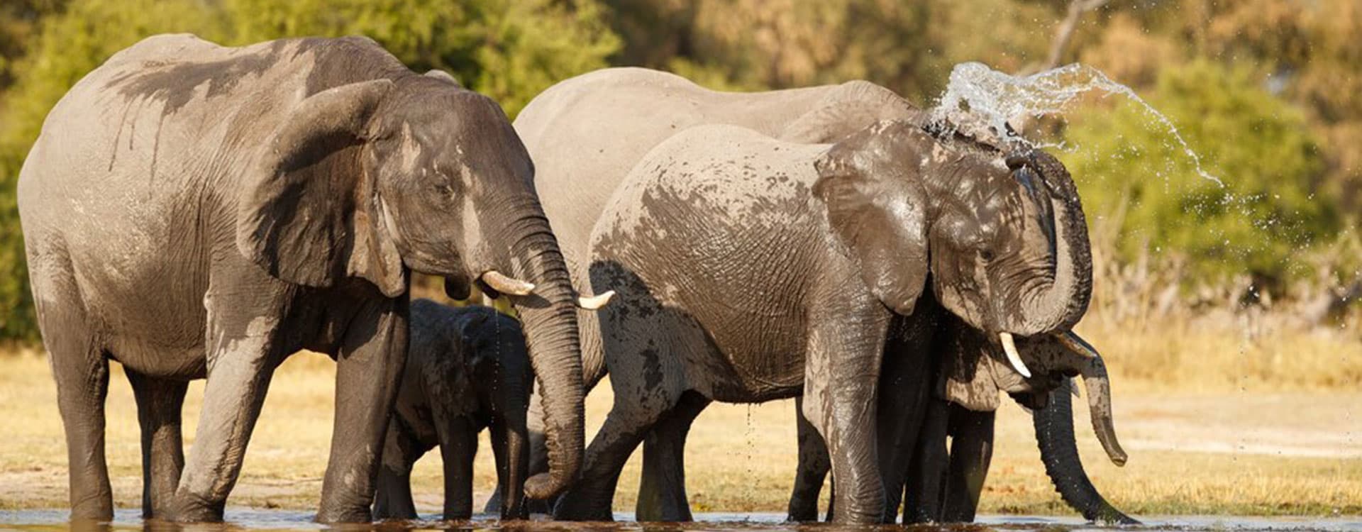 7-Days Luxurious Fly-In Safari Across Masai Mara and Samburu