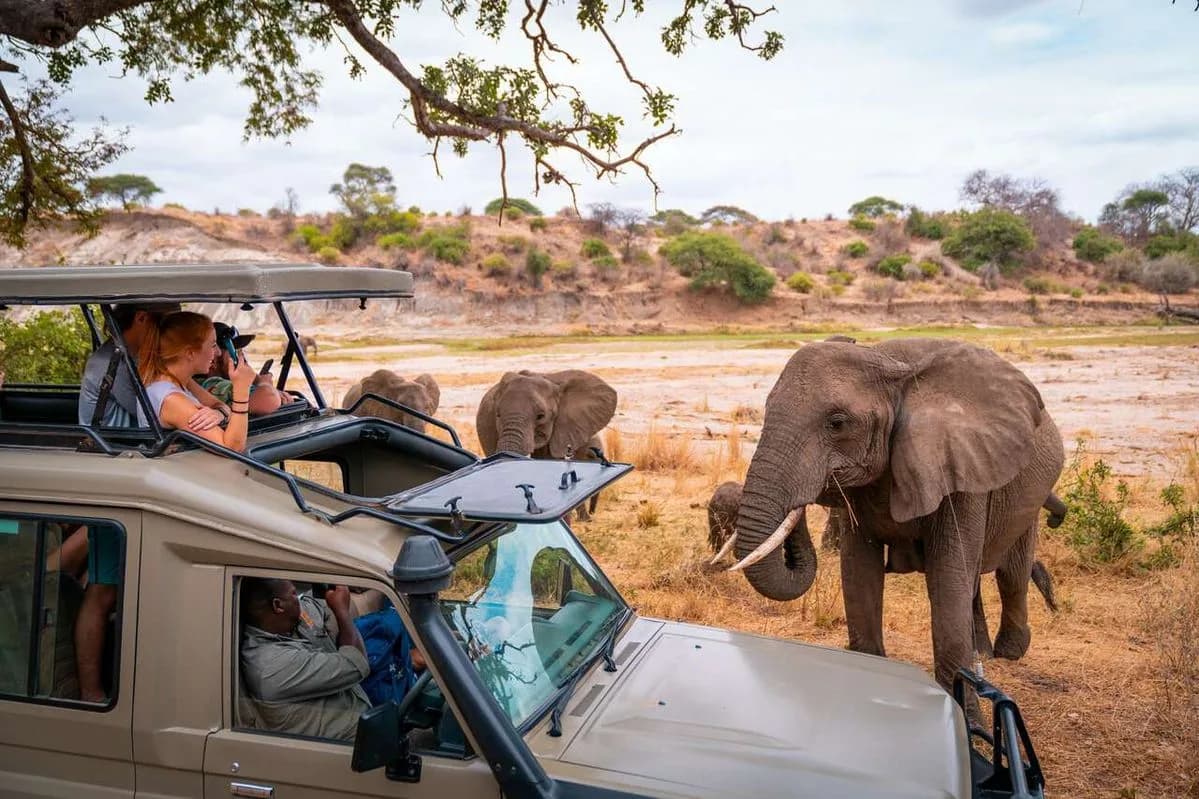 Best-Safari-Companies-in-Kenya-for-International-Travelers.jpg