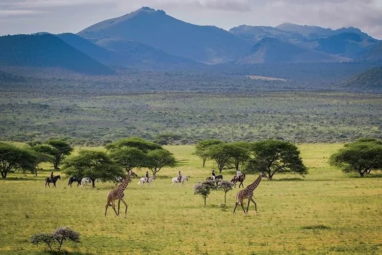 Chyulu-Hills-National-Park.-Discover-rolling-hills.jpg