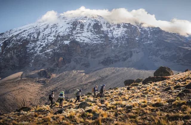 Mt Kilimanjaro — photo 3