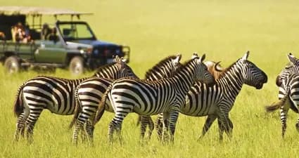 Amboseli — photo 2