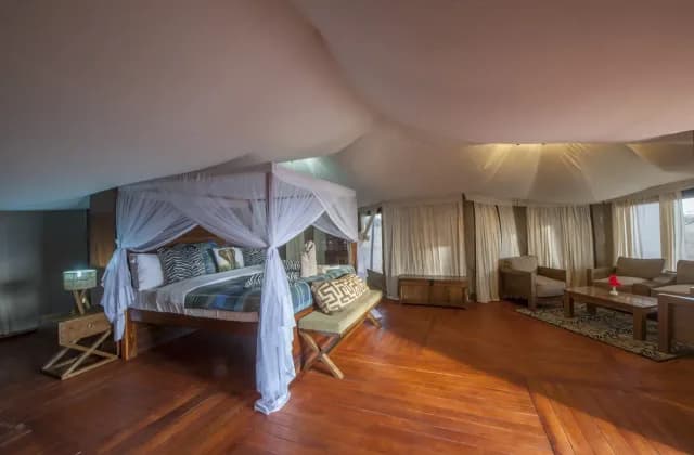 Acacia Seronera Luxury Camp — photo 4