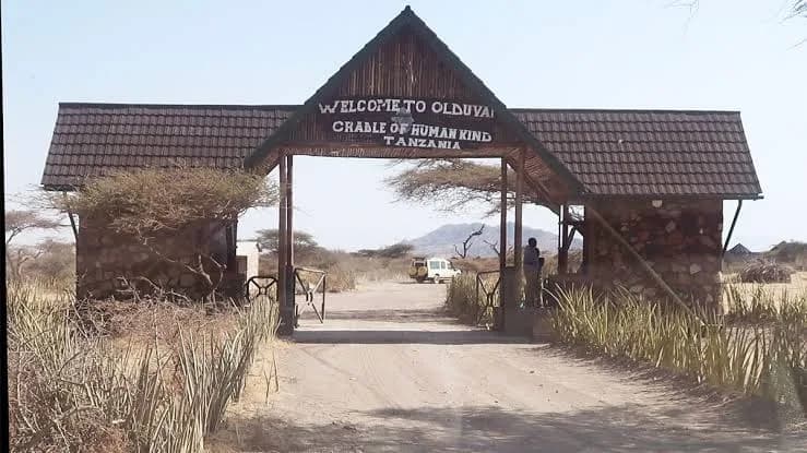 Olduvai Gorge — photo 3