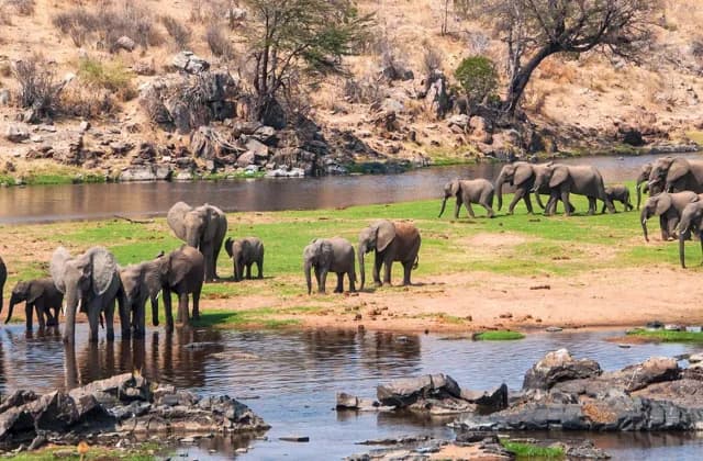 Ruaha National Park1