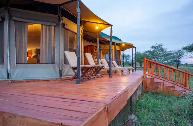 Acacia Seronera Luxury Camp — photo 1