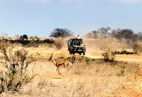 3 Days Masai Mara Fly-In Safari Package