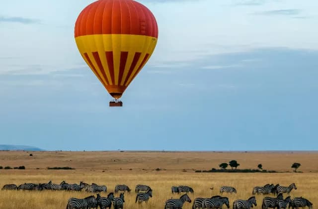 serengeti