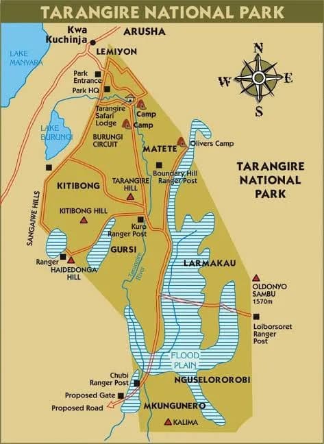 Tarangire National Park — photo 5