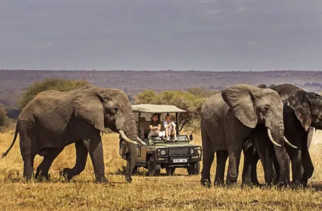 tarangire national park3