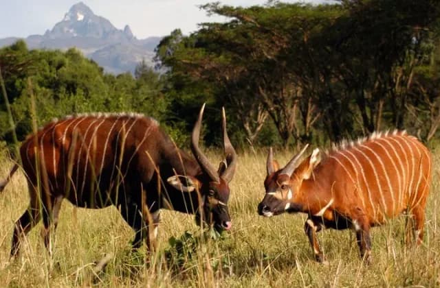 Samburu National Reserve — photo 2