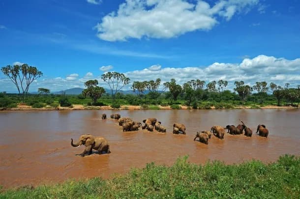 Samburu National Reserve — photo 4