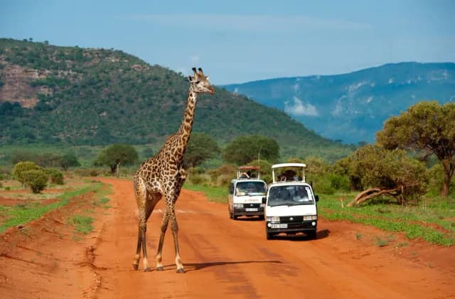 Tsavo East National Park — photo 5